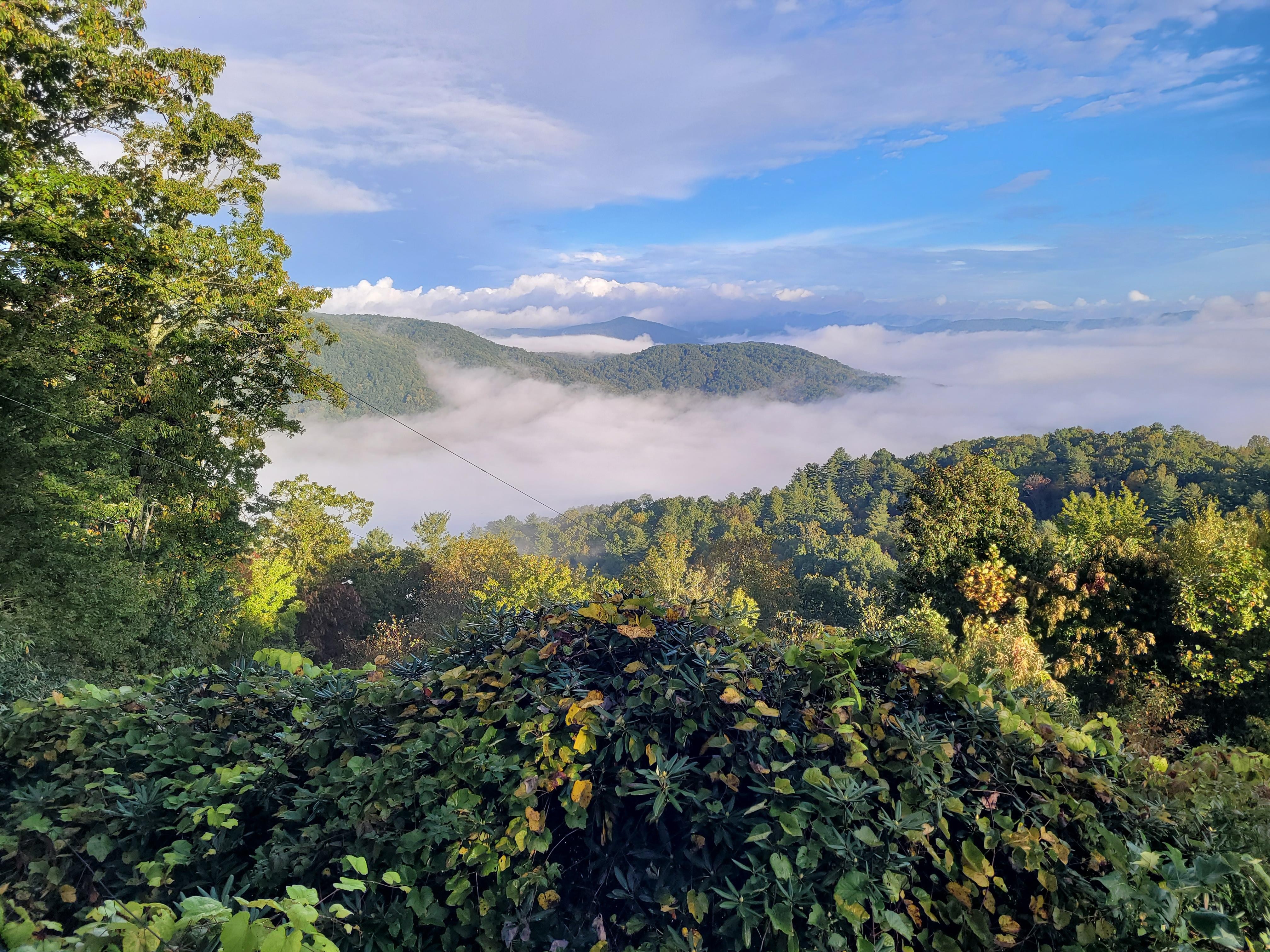 Our morning view from the porch.