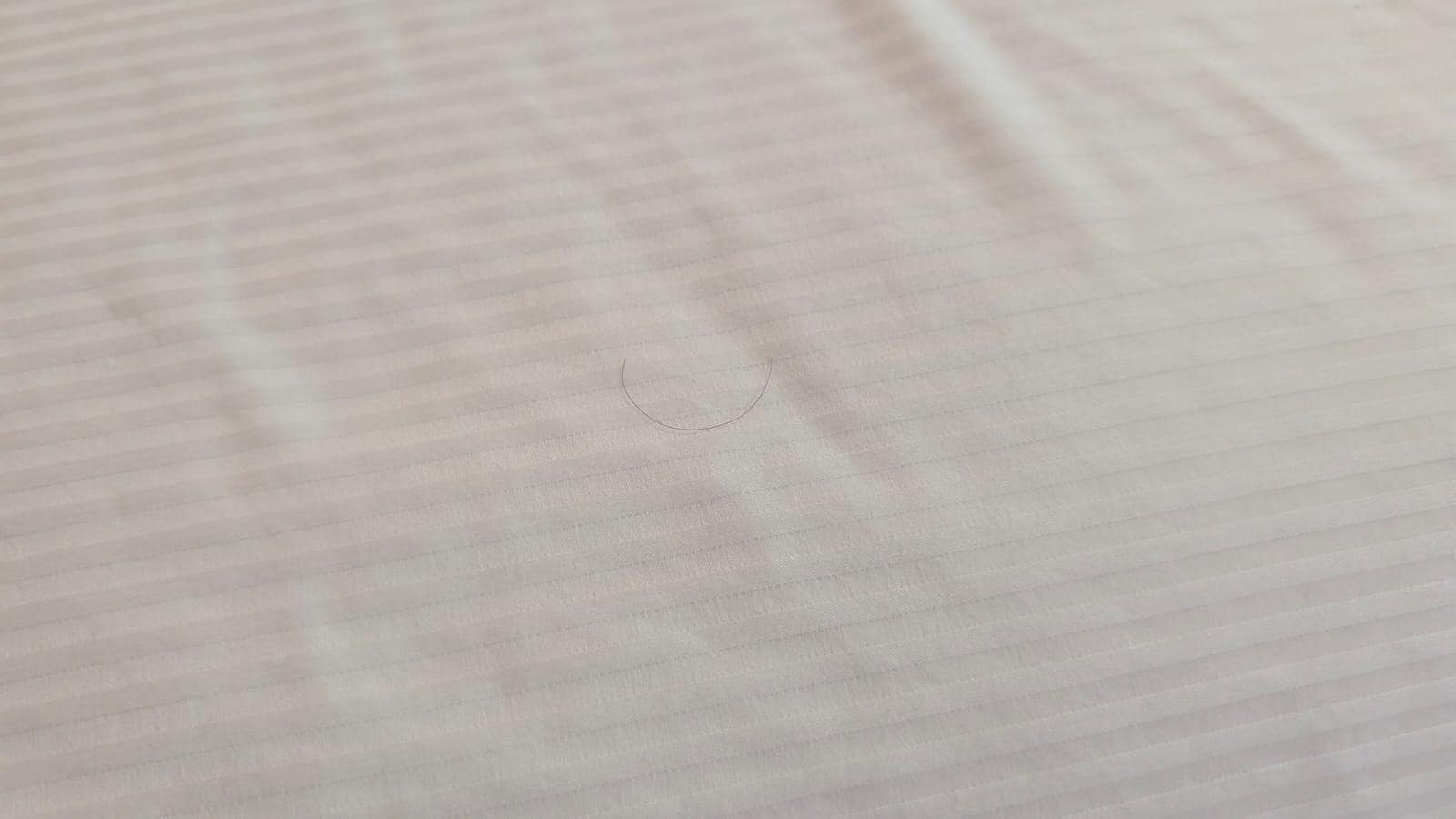 Few hairs on the bed. This is just one of them. 