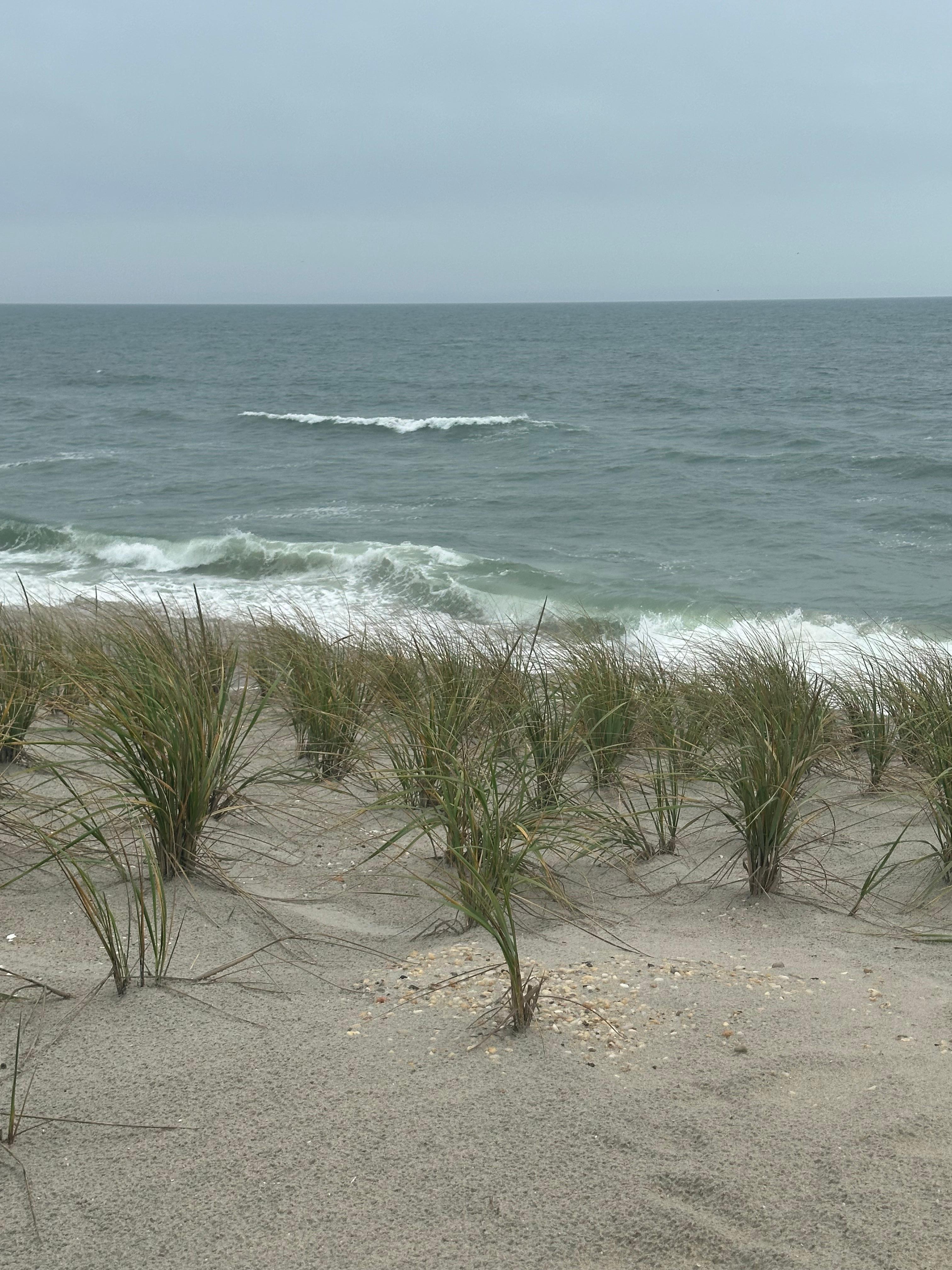 Beach seen from deck