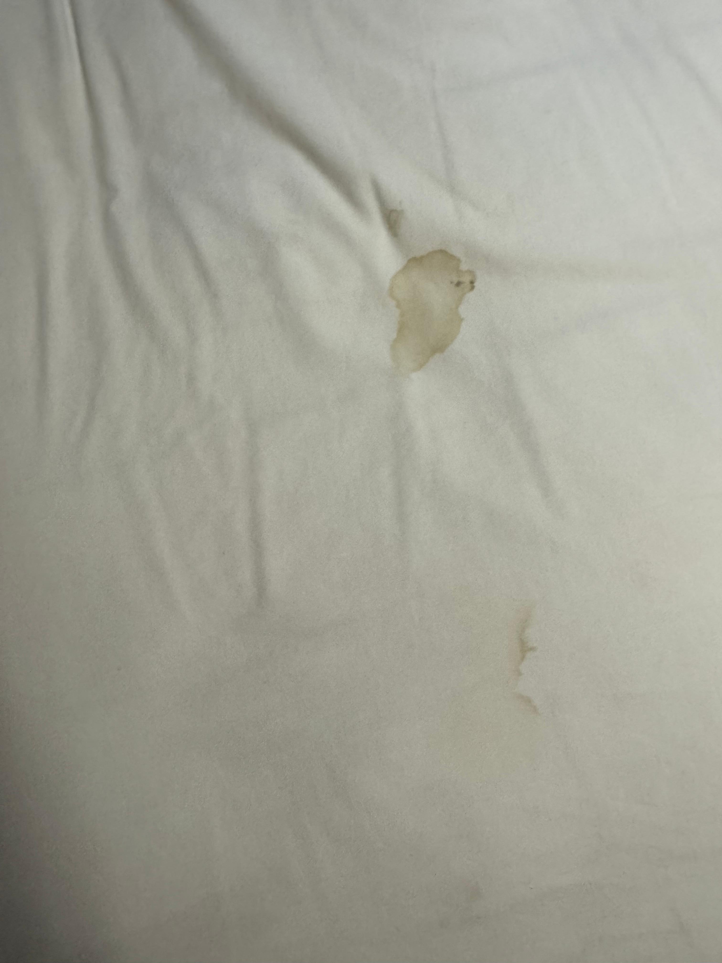 Top sheet