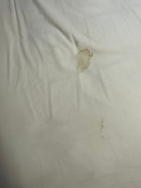 Top sheet