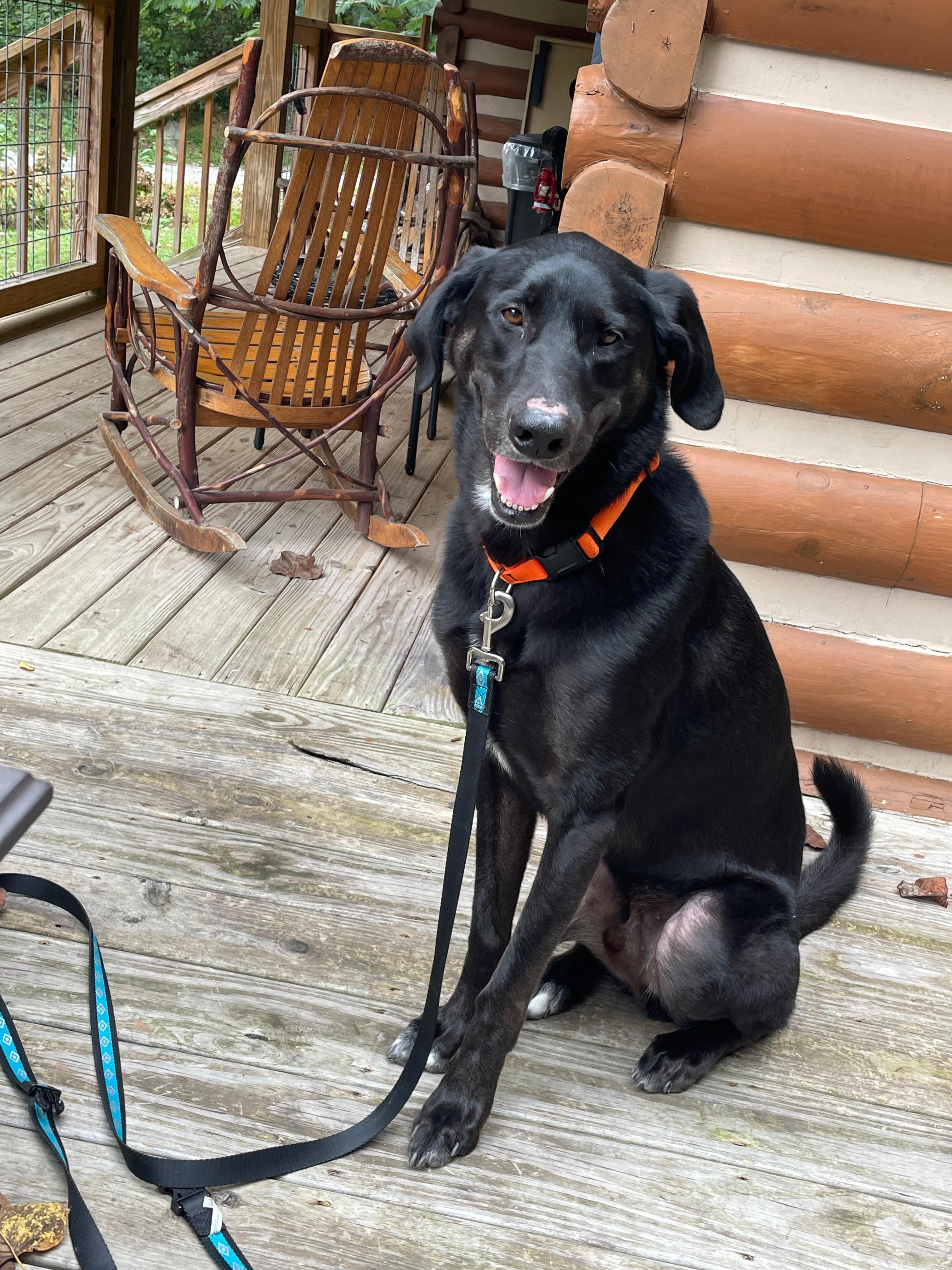 We loved just hanging out on the wrap around porch!