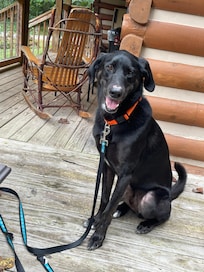 We loved just hanging out on the wrap around porch!