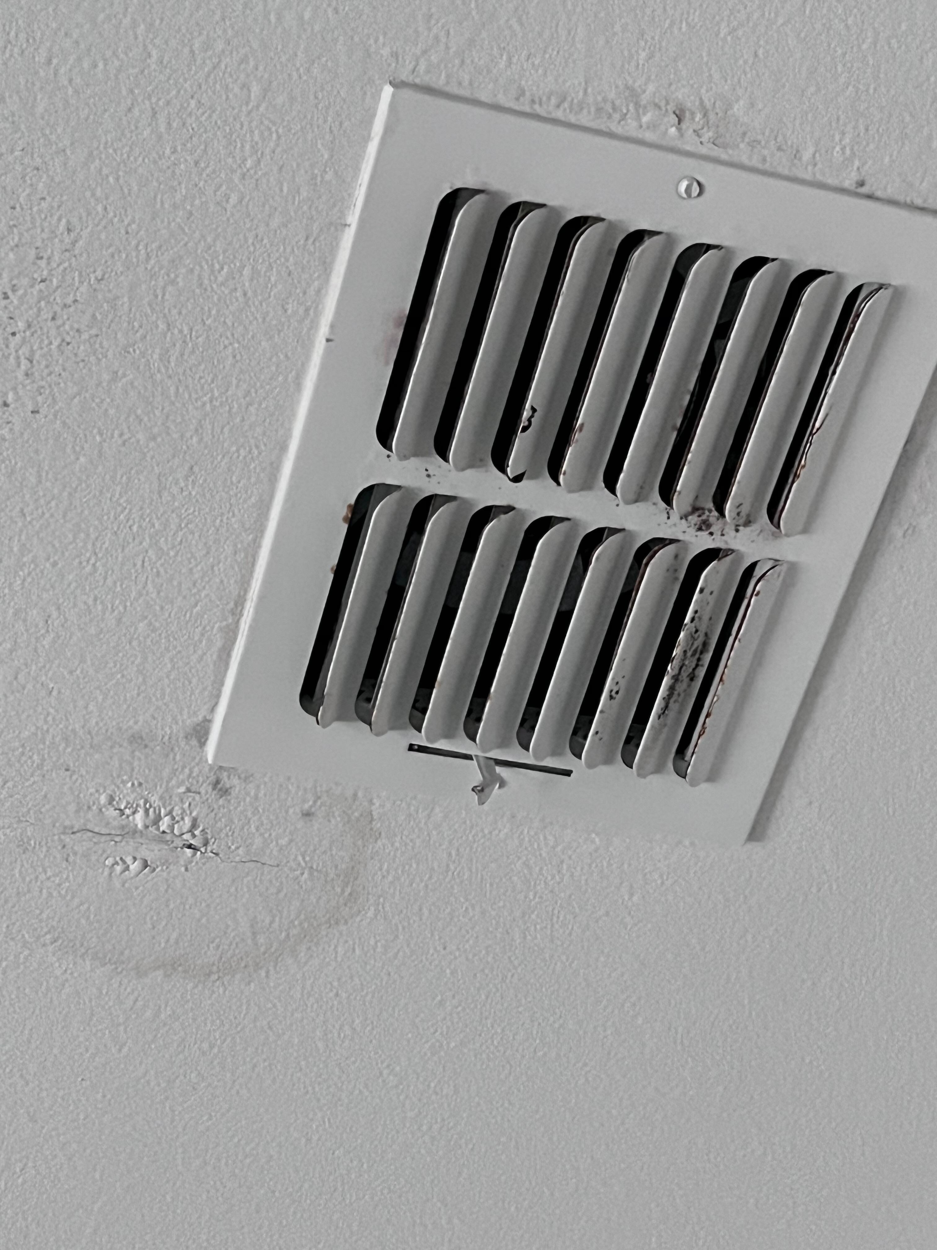 Mold/ mildew on A/C vents 