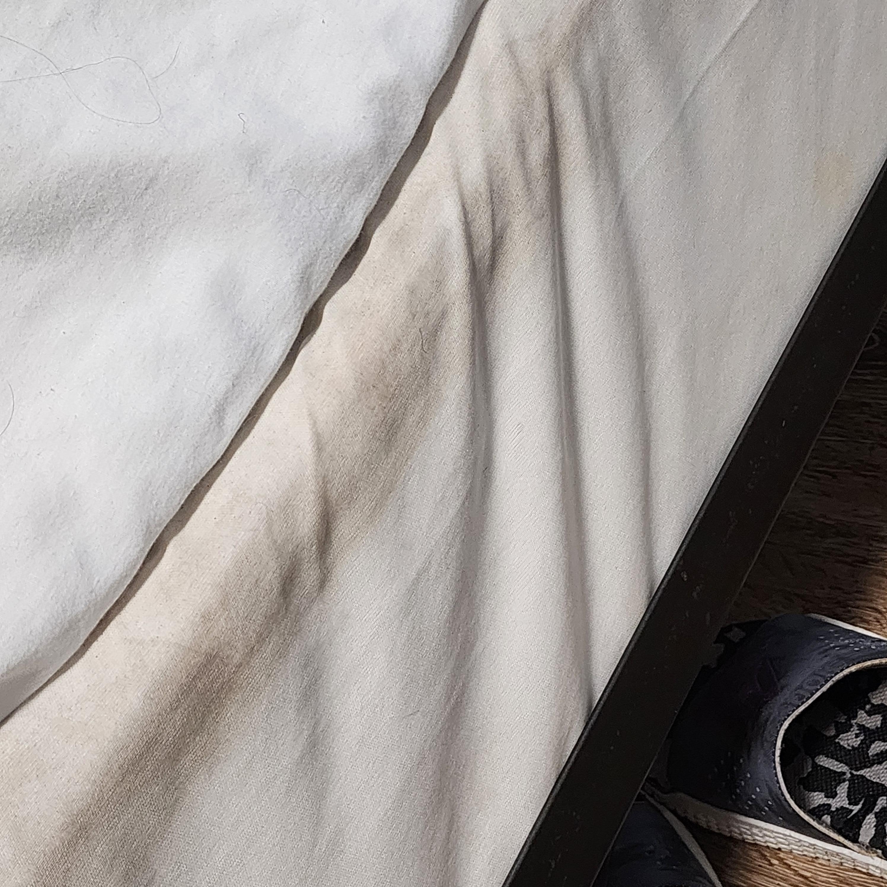 Mold or mildew on bed