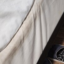 Mold or mildew on bed