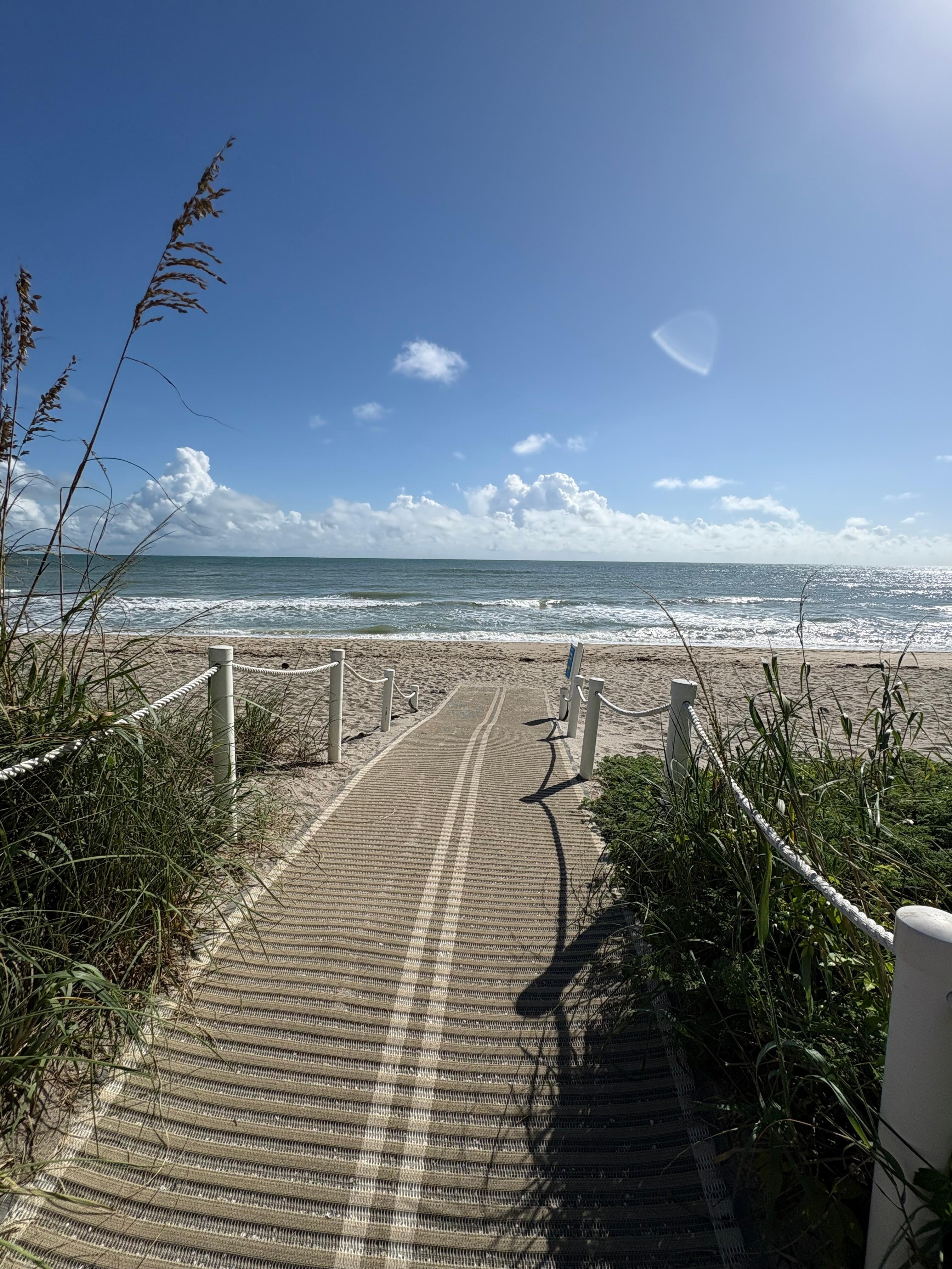 Entrance to Nettles beach