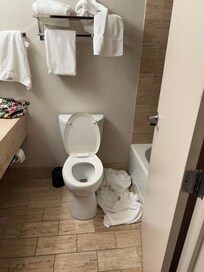 Bathroom not serviced