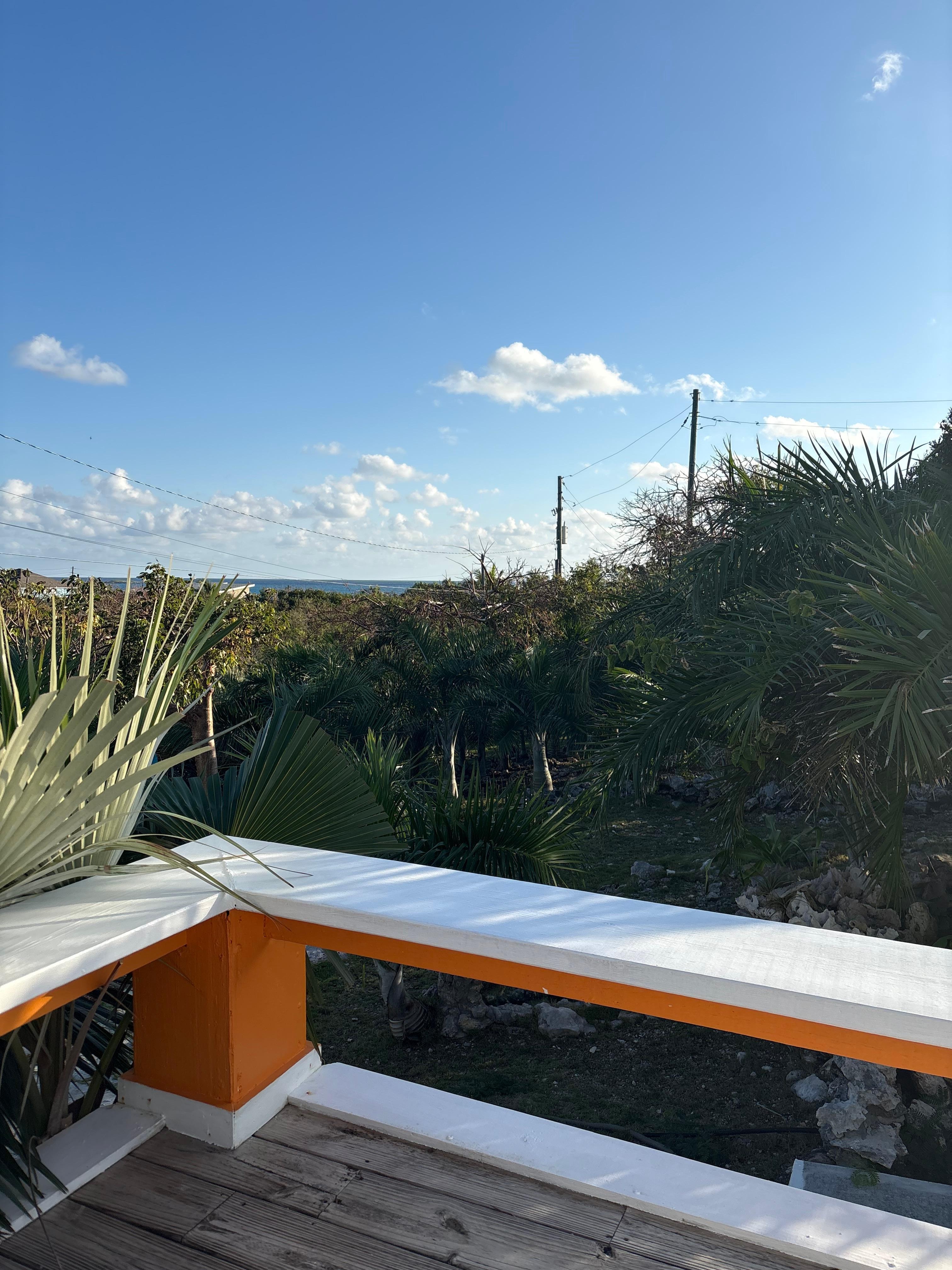 The view from the deck 