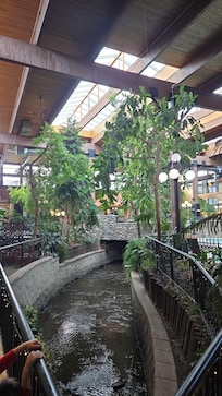 The creek that runs through the hotel