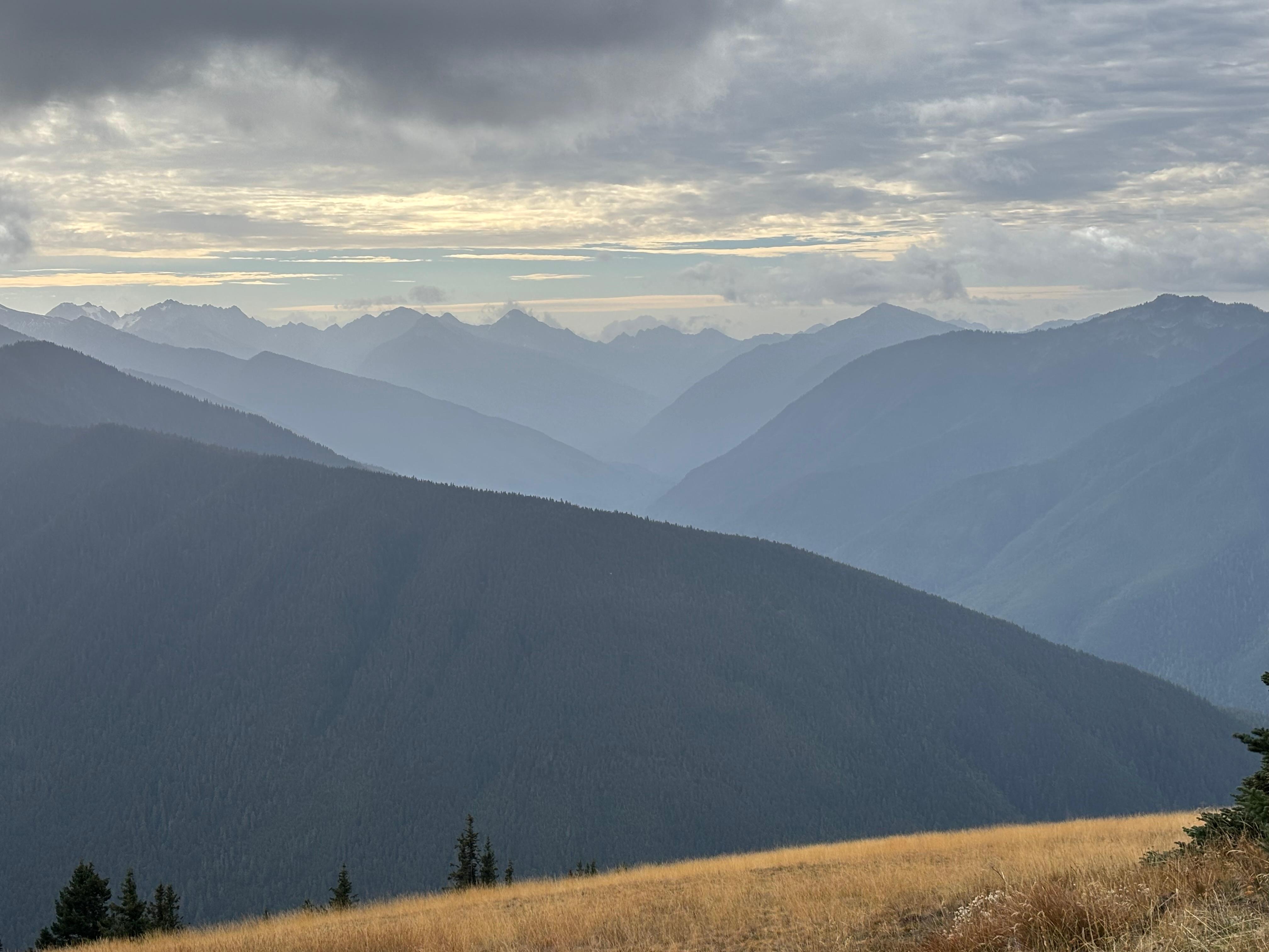 Hurricane Ridge.
