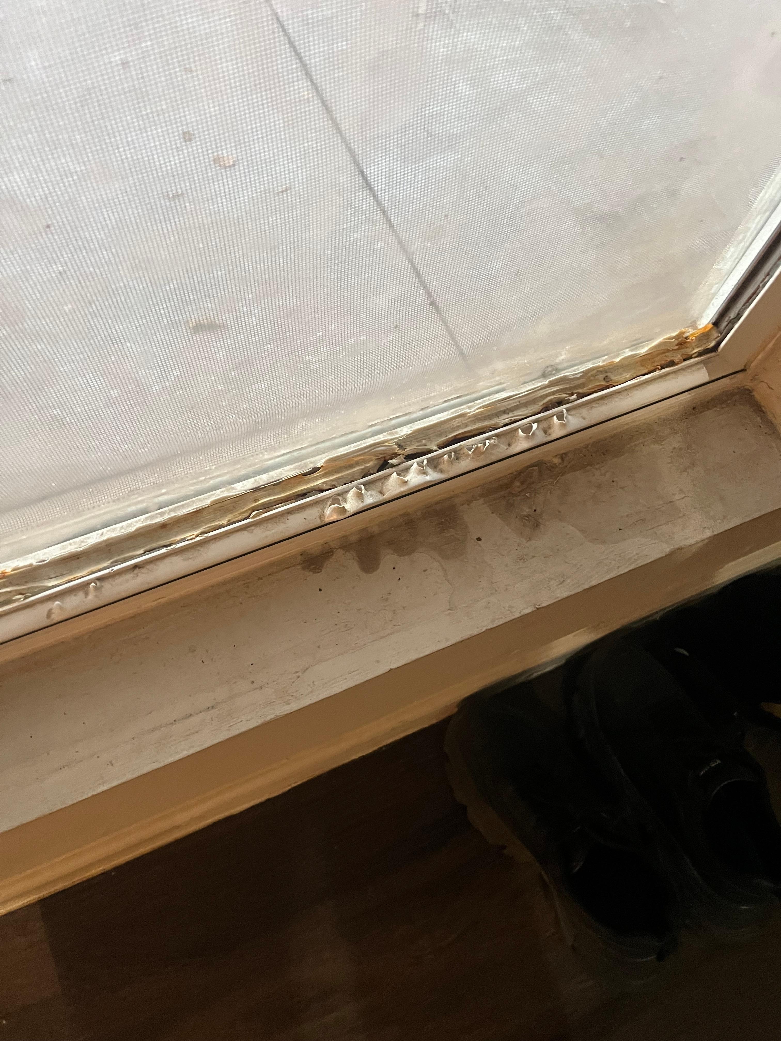 Cigarette burns on front window