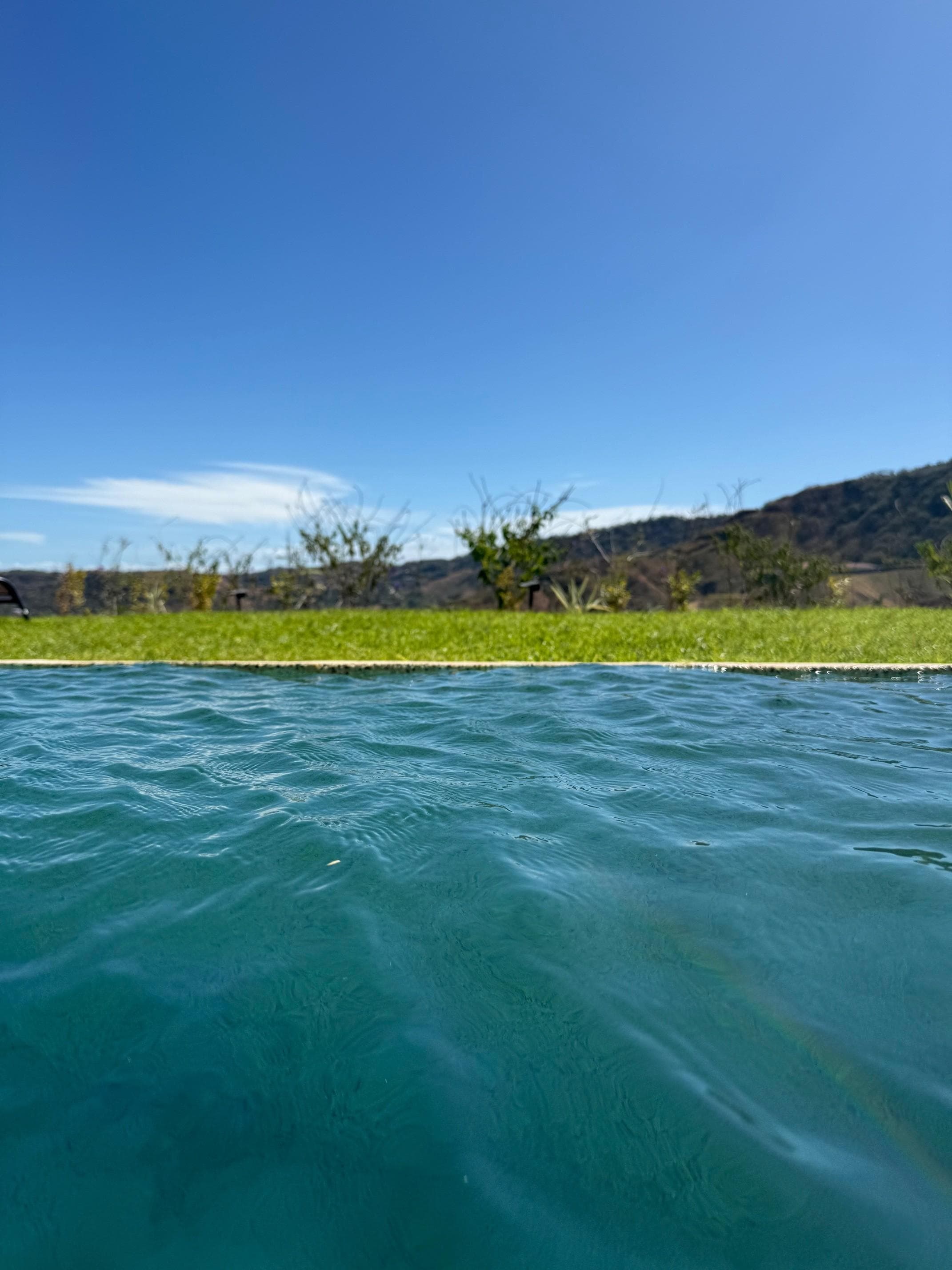 The View from the pool