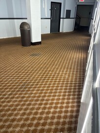 Stains in carpet