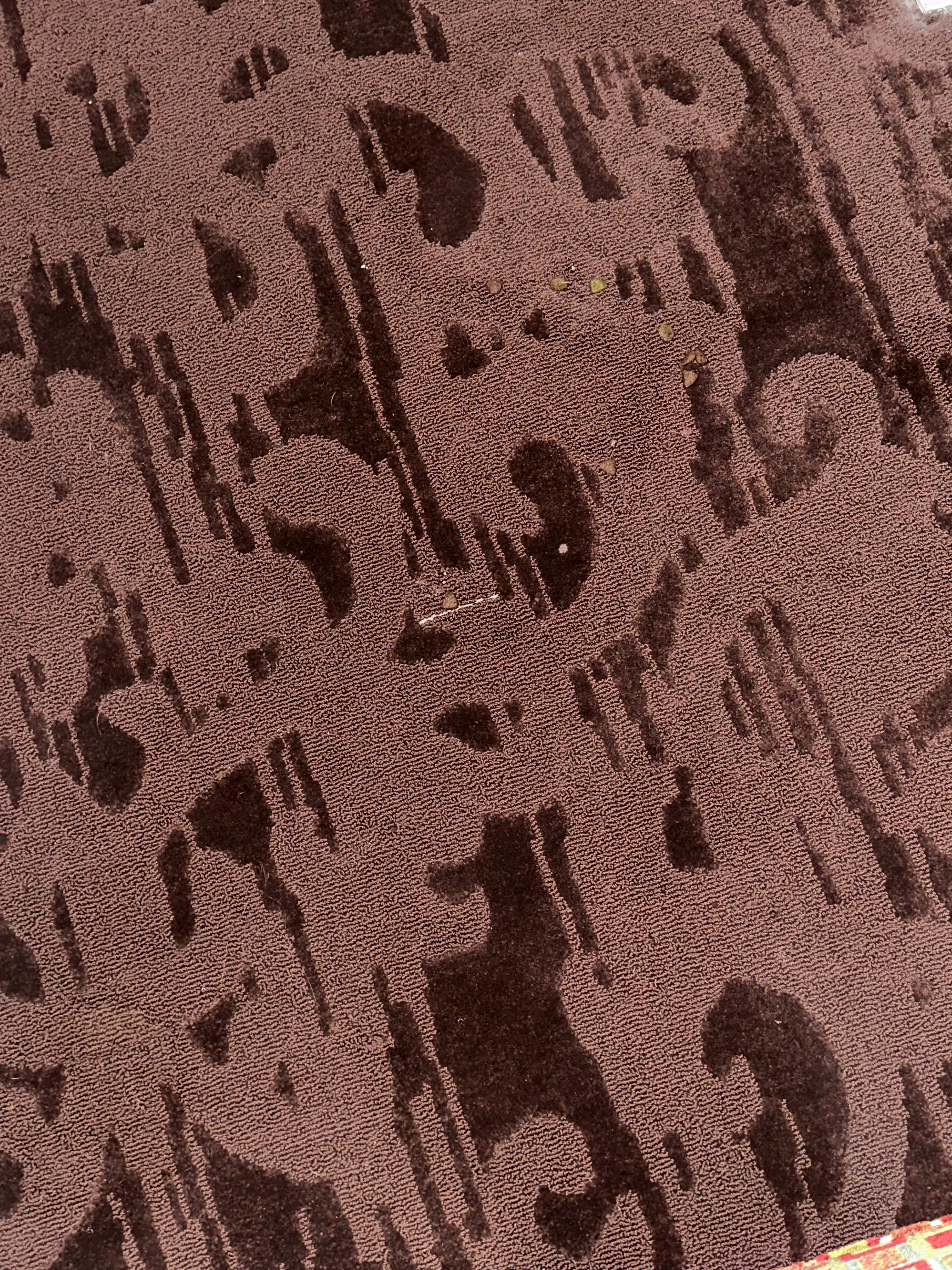 Dog food on the floor