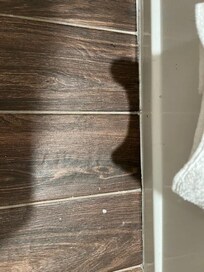 Hair and dirt in the bathroom floor