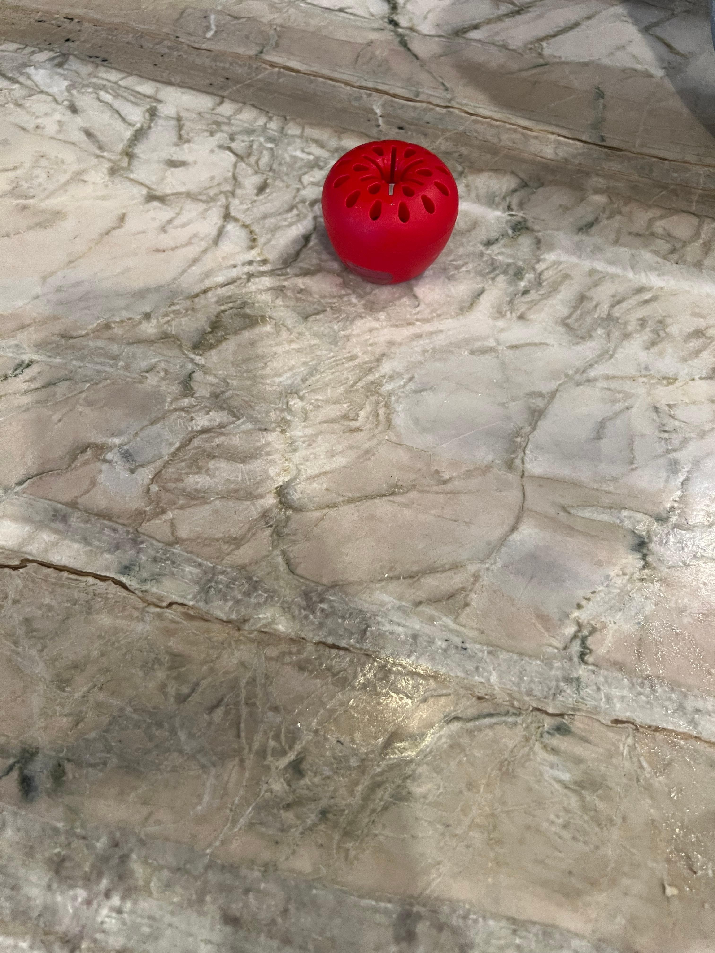 Fruit fly trap we had to purchase to help