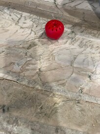 Fruit fly trap we had to purchase to help