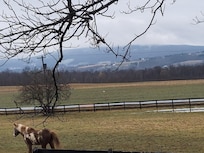View of the front with the horses.