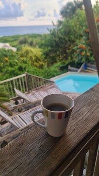 Vue du matin au petit déjeuner 😉