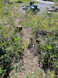 This is the path going to the parking lot and what we had to walk to get our luggage to and from the car.
