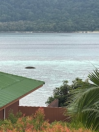 Utsikt från bungalow nr 31.