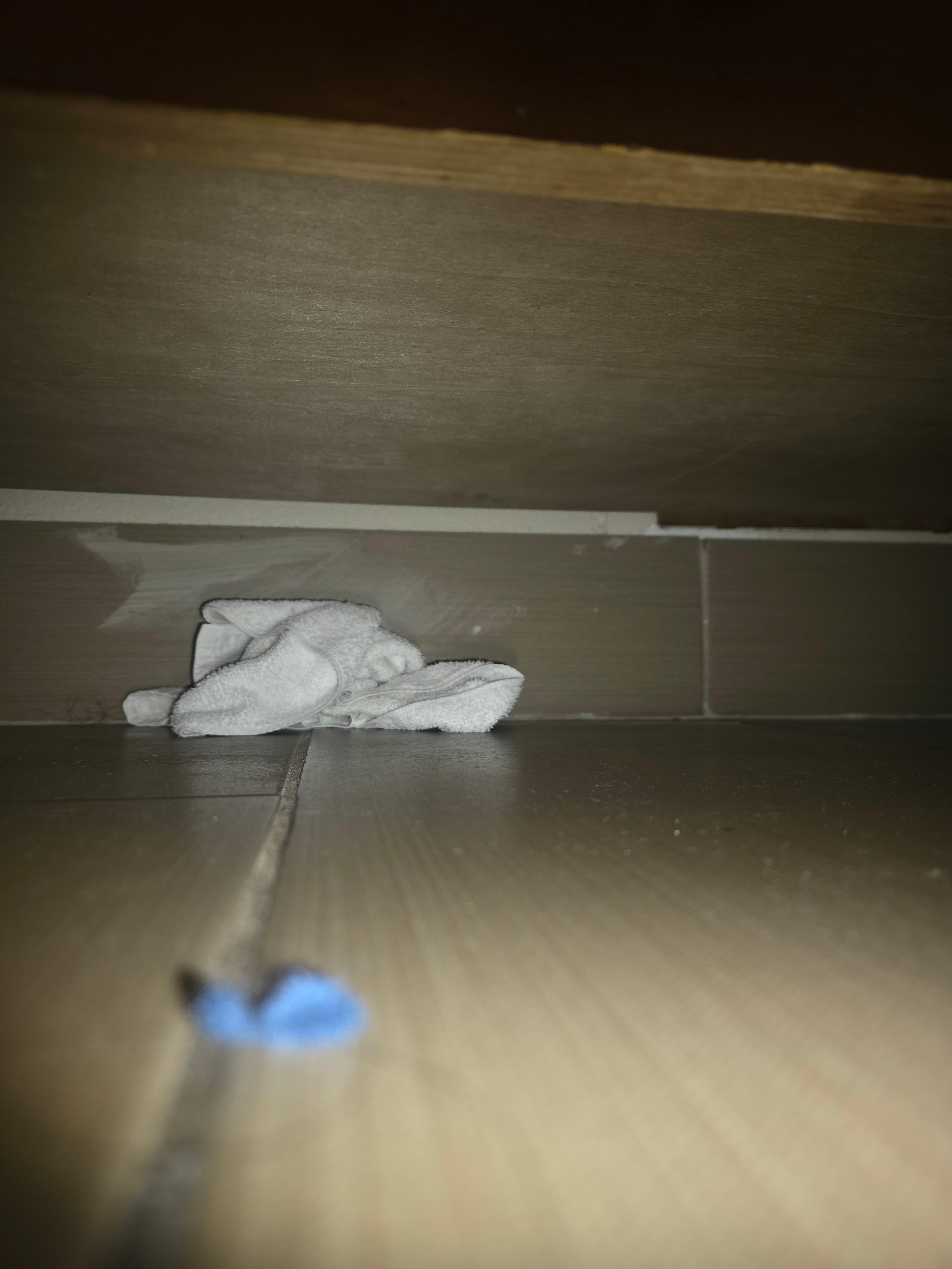 While looking to see if the jacuzzi tub was unplugged we found a dirty rag from a previous guest.