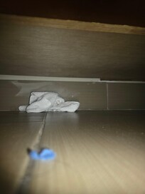 While looking to see if the jacuzzi tub was unplugged we found a dirty rag from a previous guest.