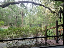 Morning view of the pond.