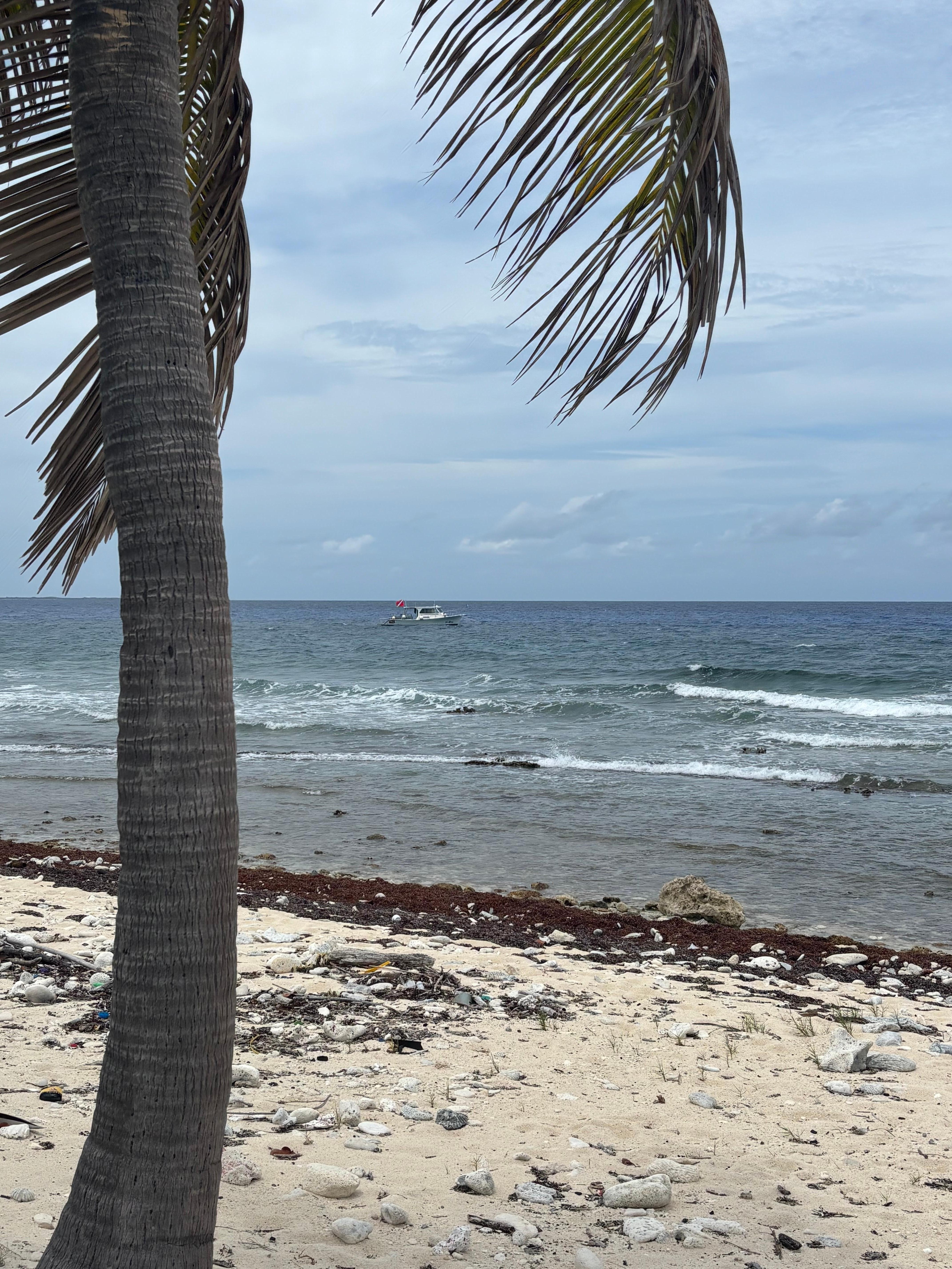 Looking out to sea from the deck. 