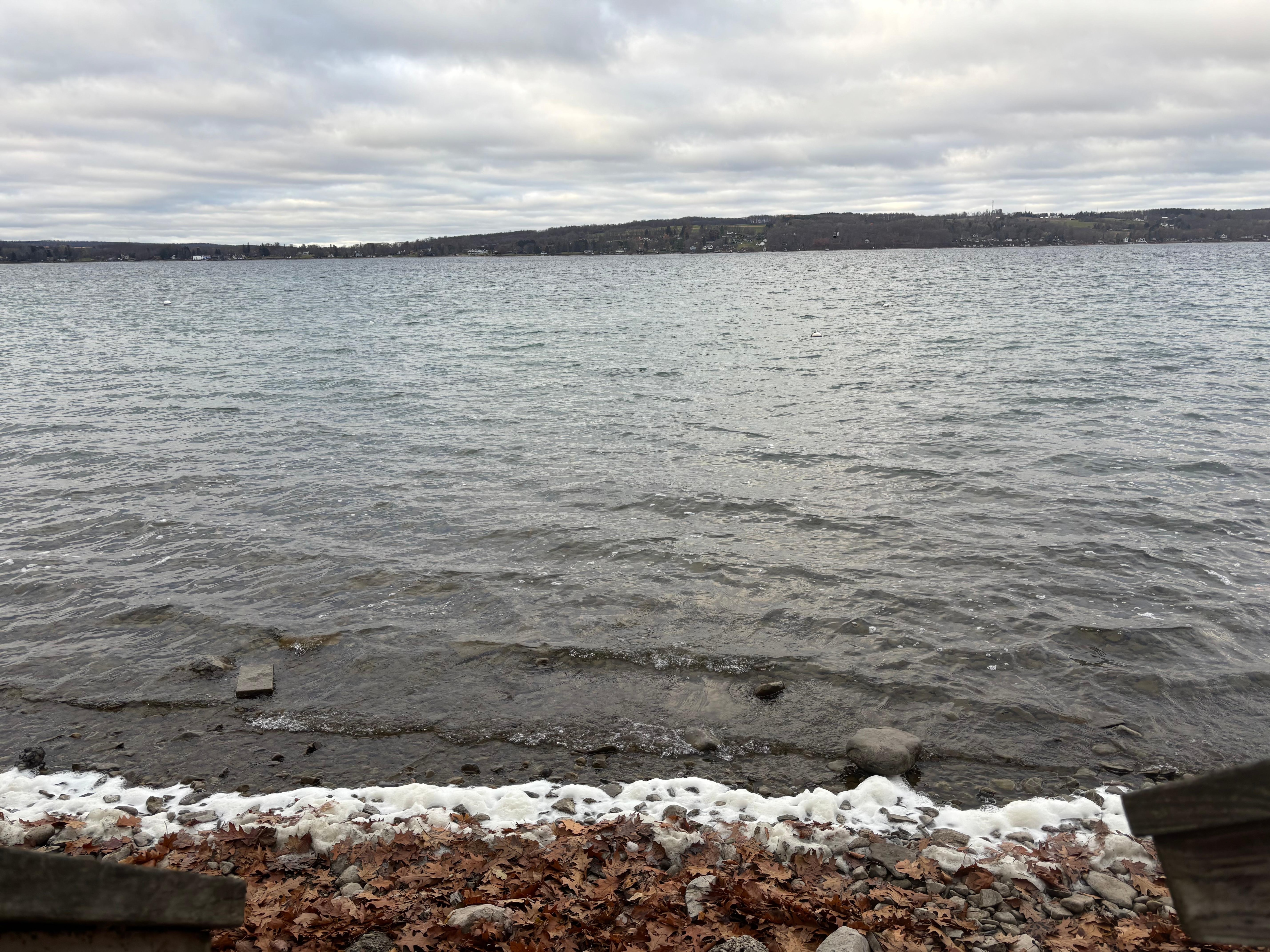 Saturday Morning even on a gray day, it’s a beautiful view 