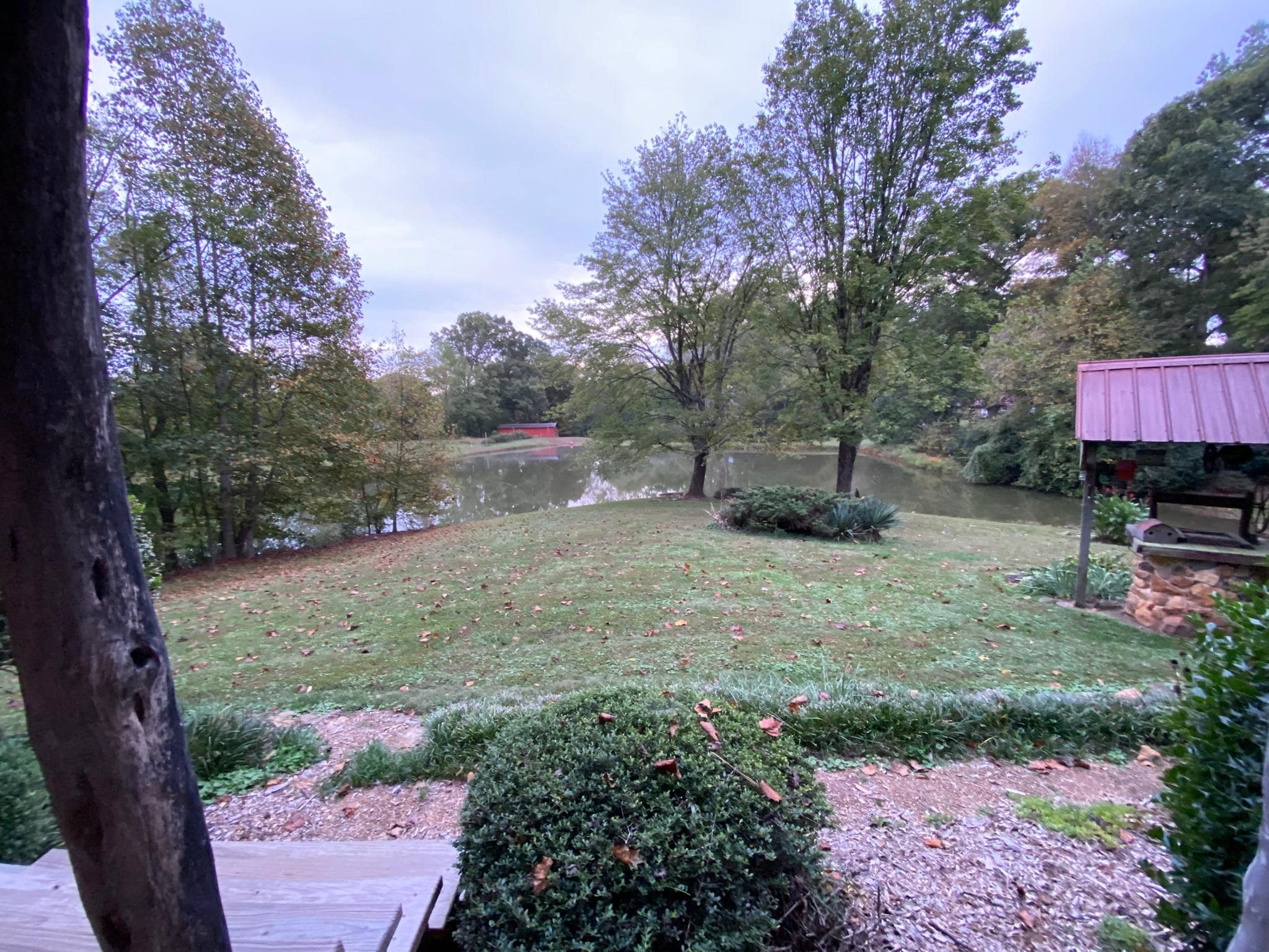 View from the front porch rocker :)