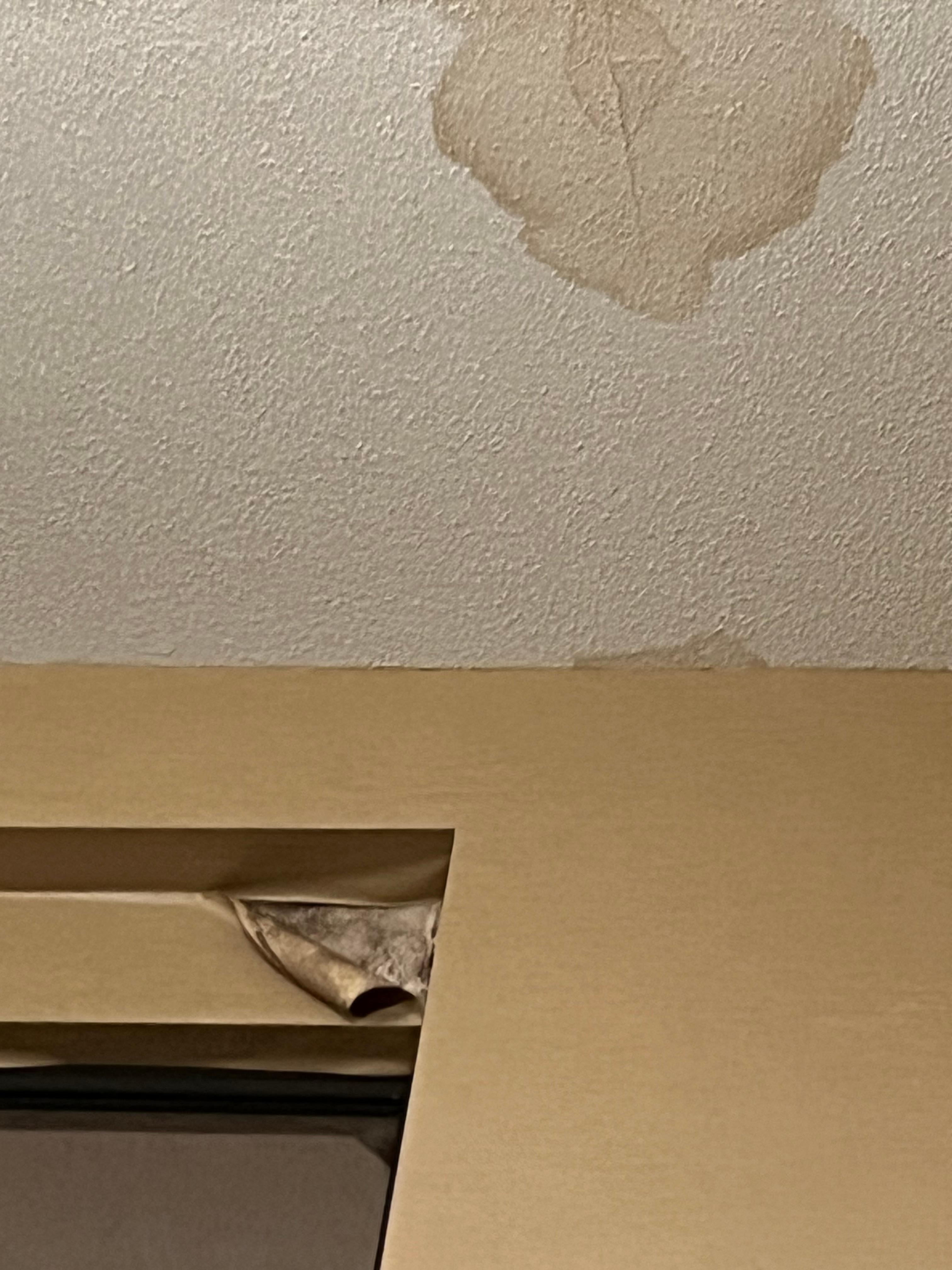 Lobby - see paper pealing where they tried to cover up