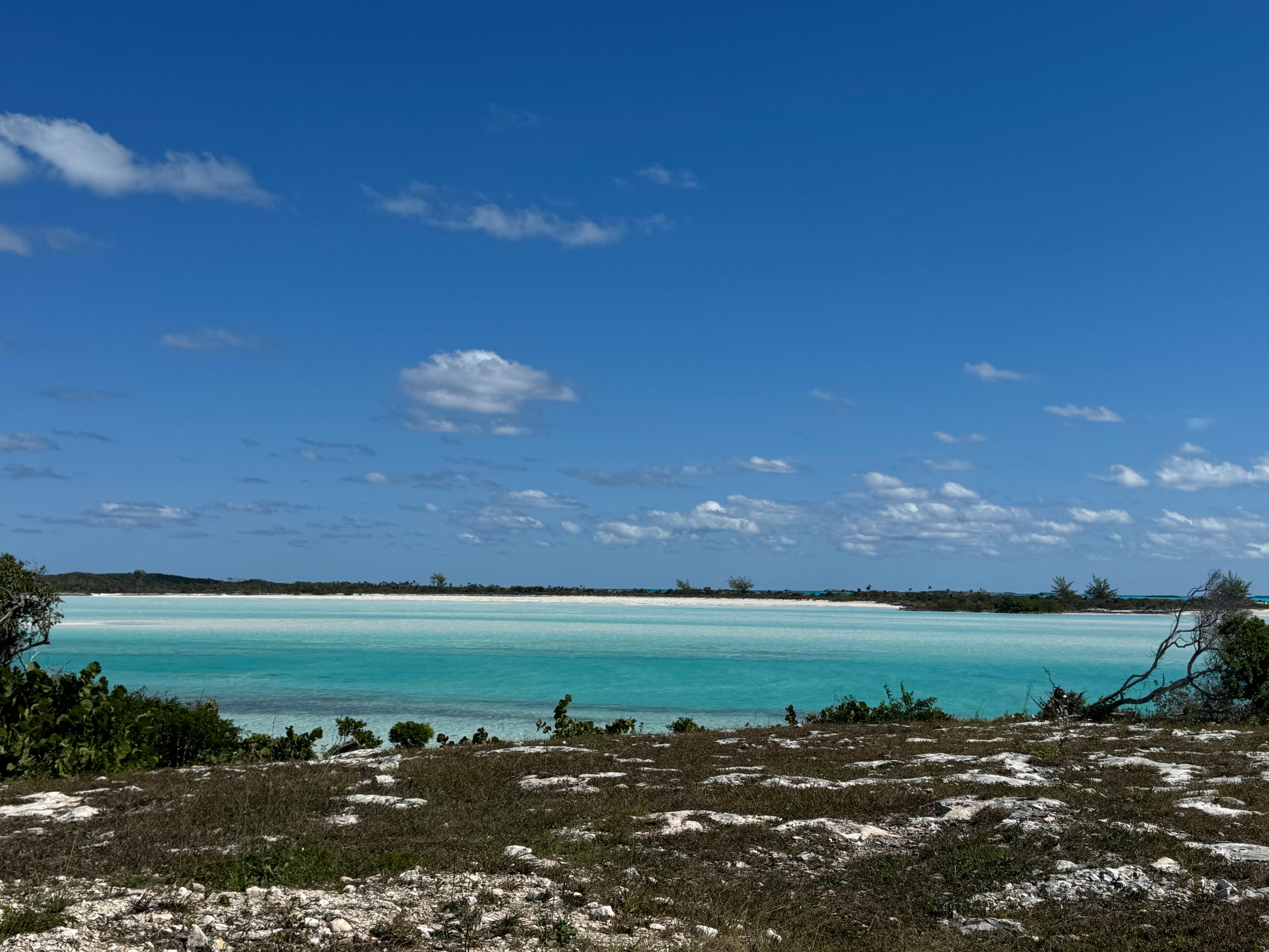 View from front yard  