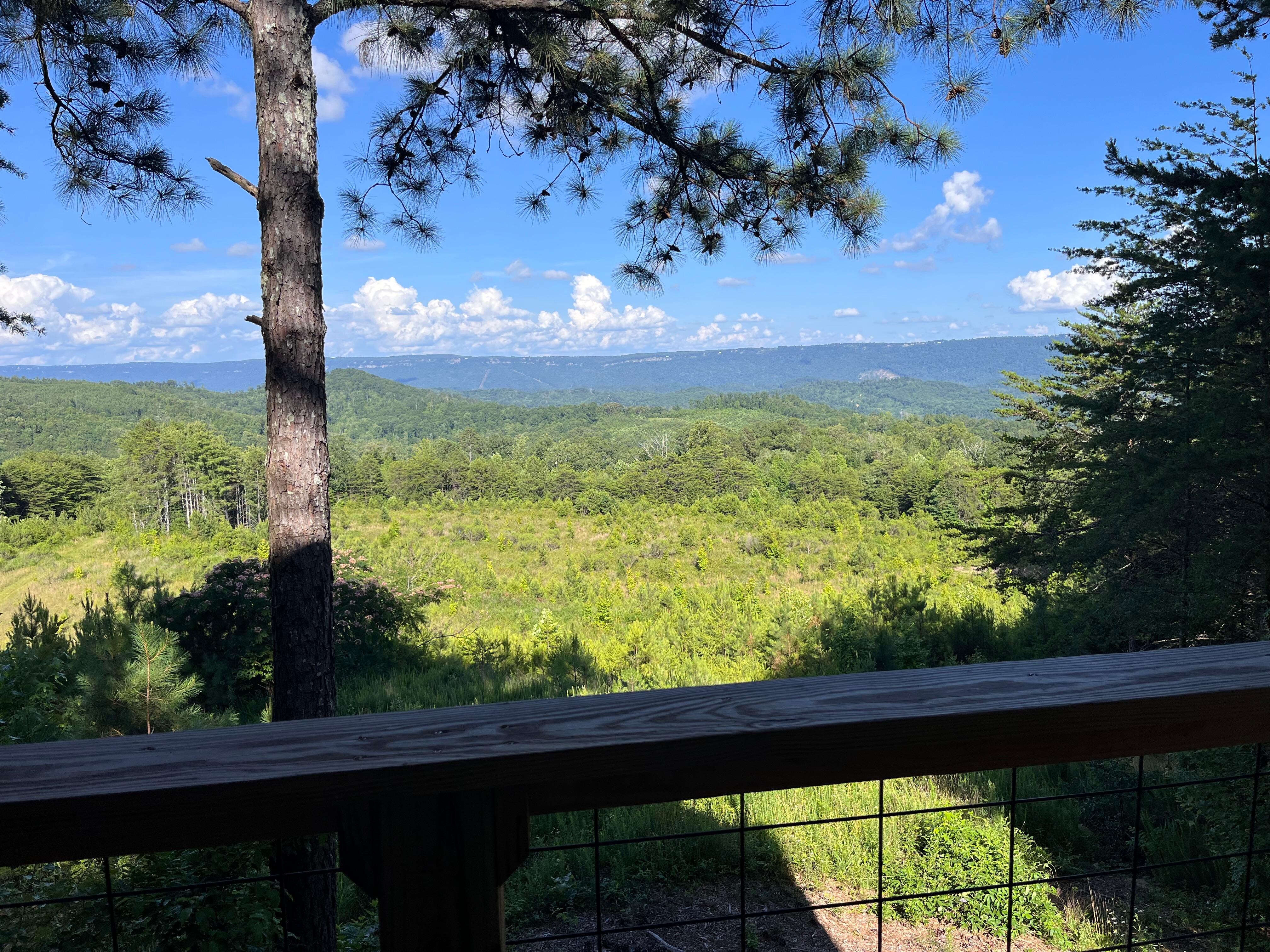 View from porch