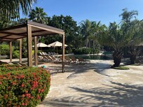 Plenty of shade at the pool.