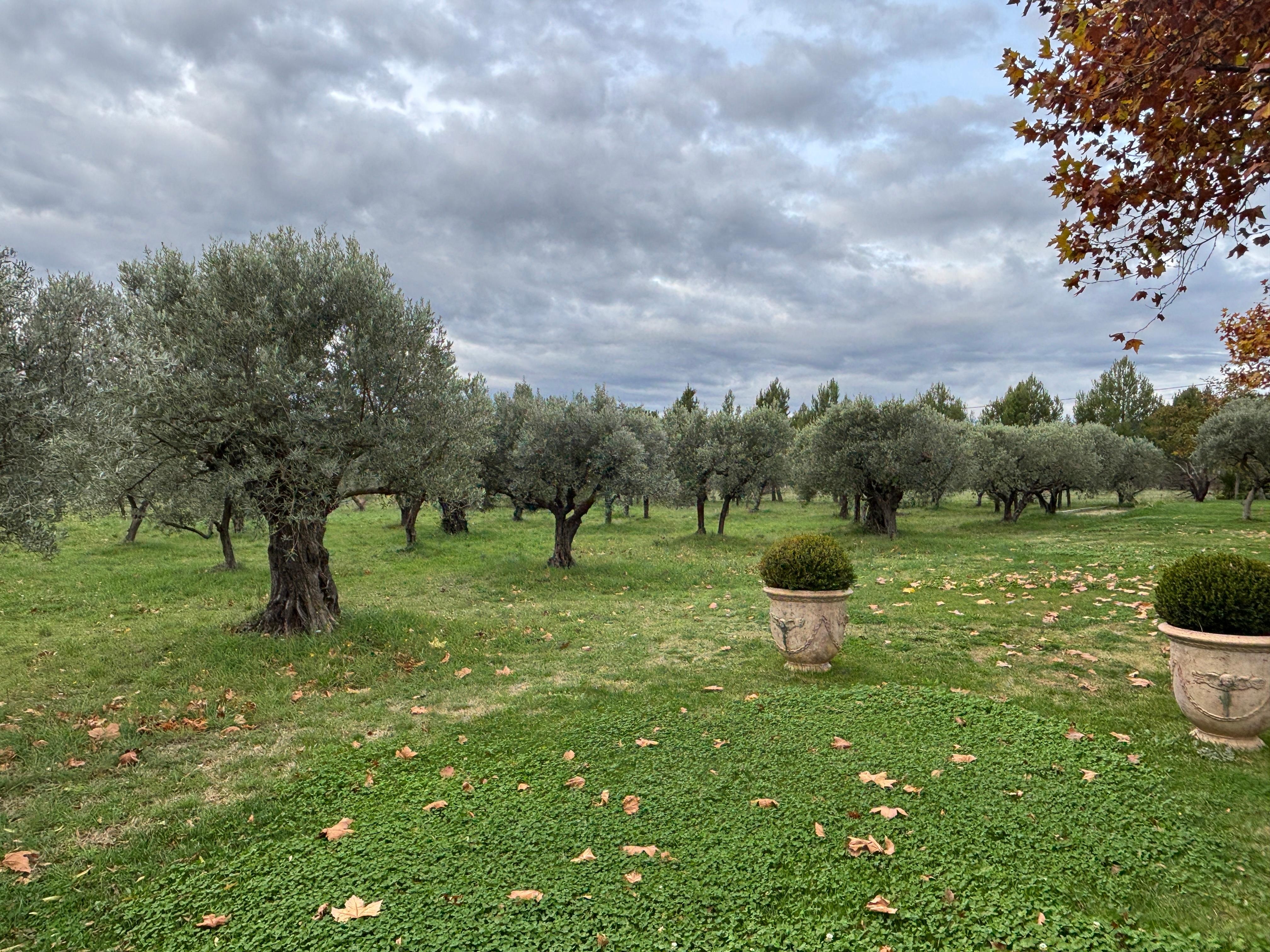 Surrounding property