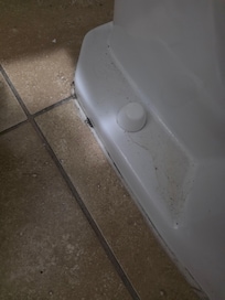 Pee and pubic hair around base of toilet