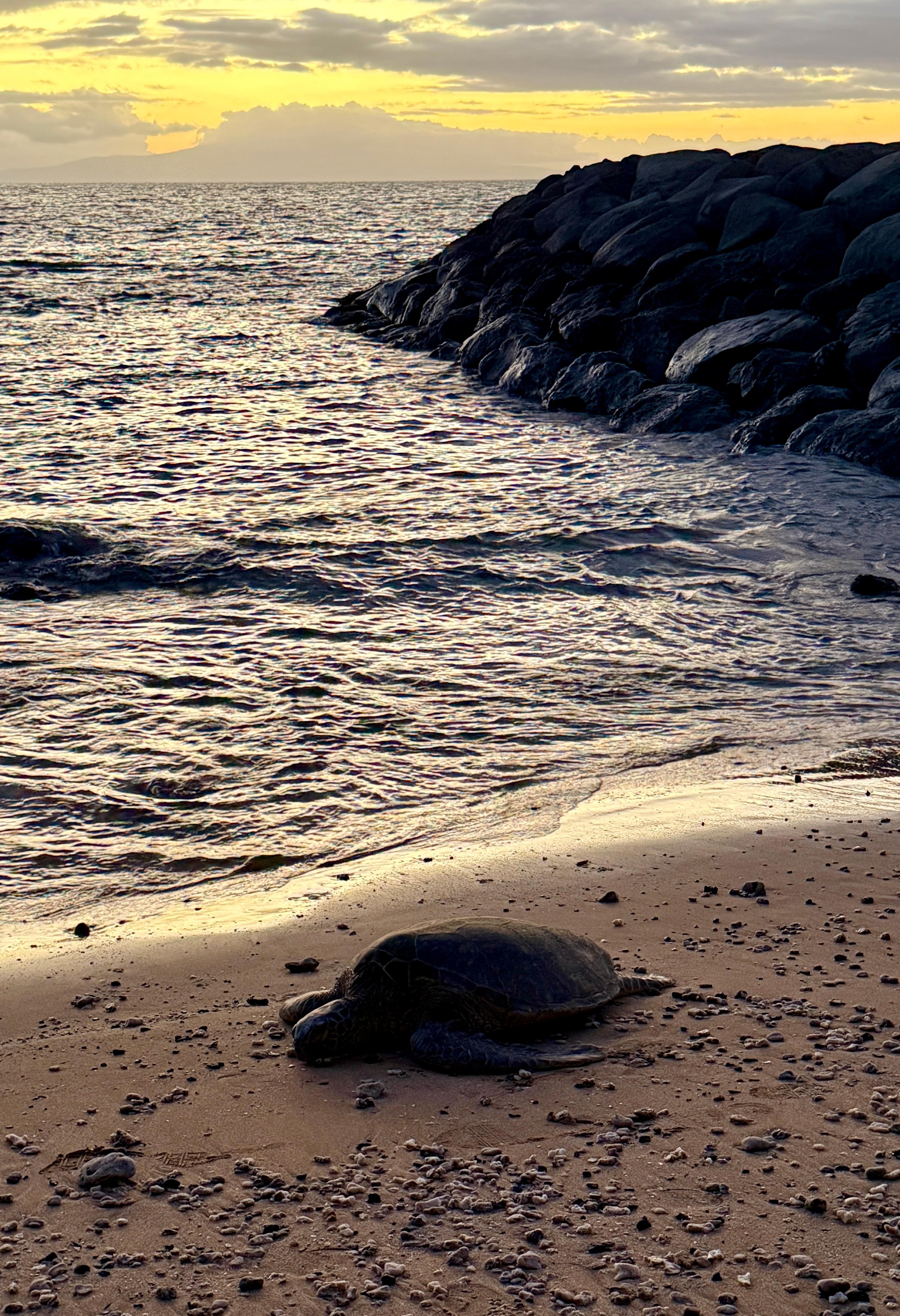 Cove next to Kihei boat ramp