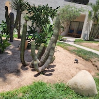Garden area was beautiful