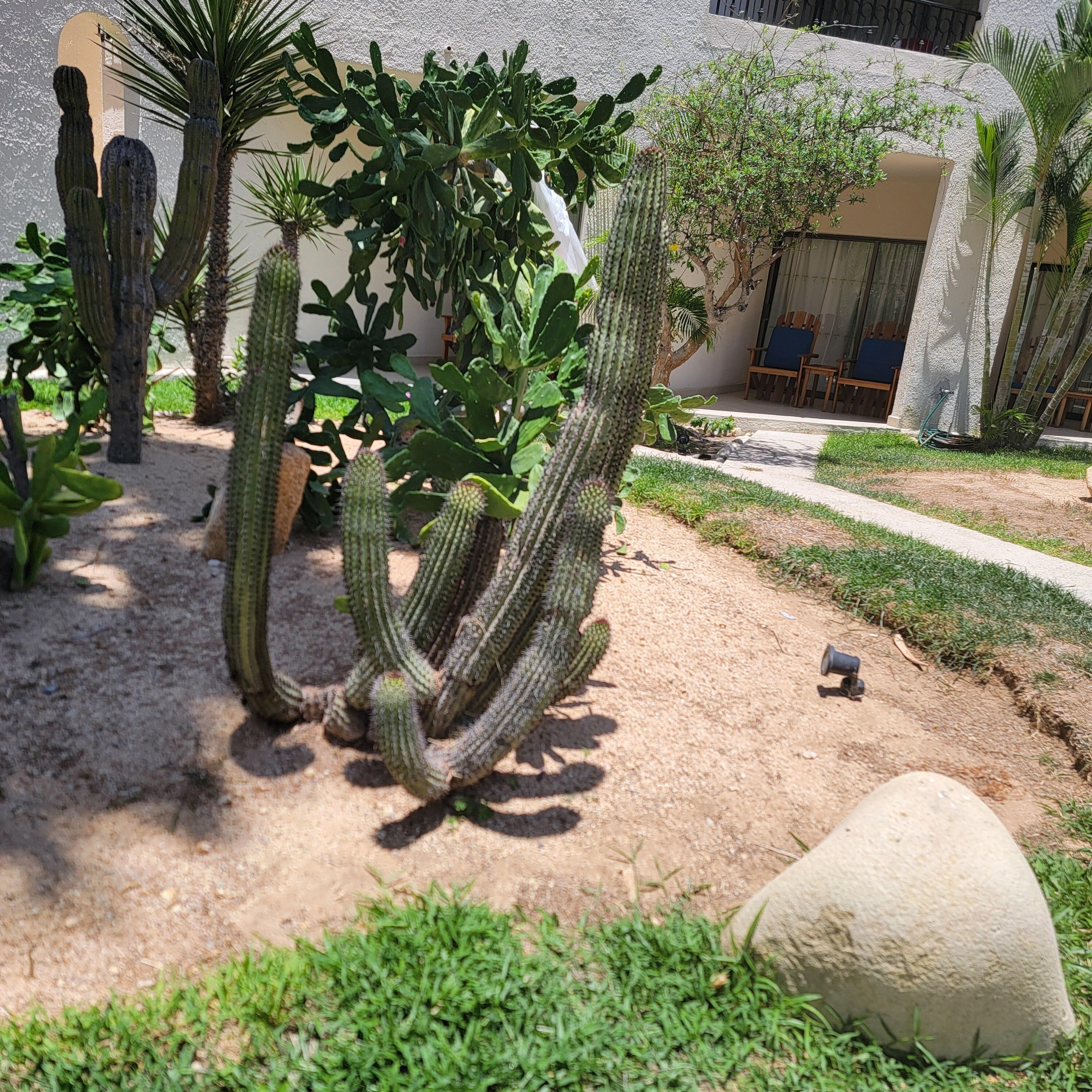 Garden area was beautiful 
