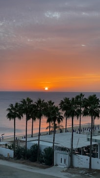 Nydelige soloppganger!