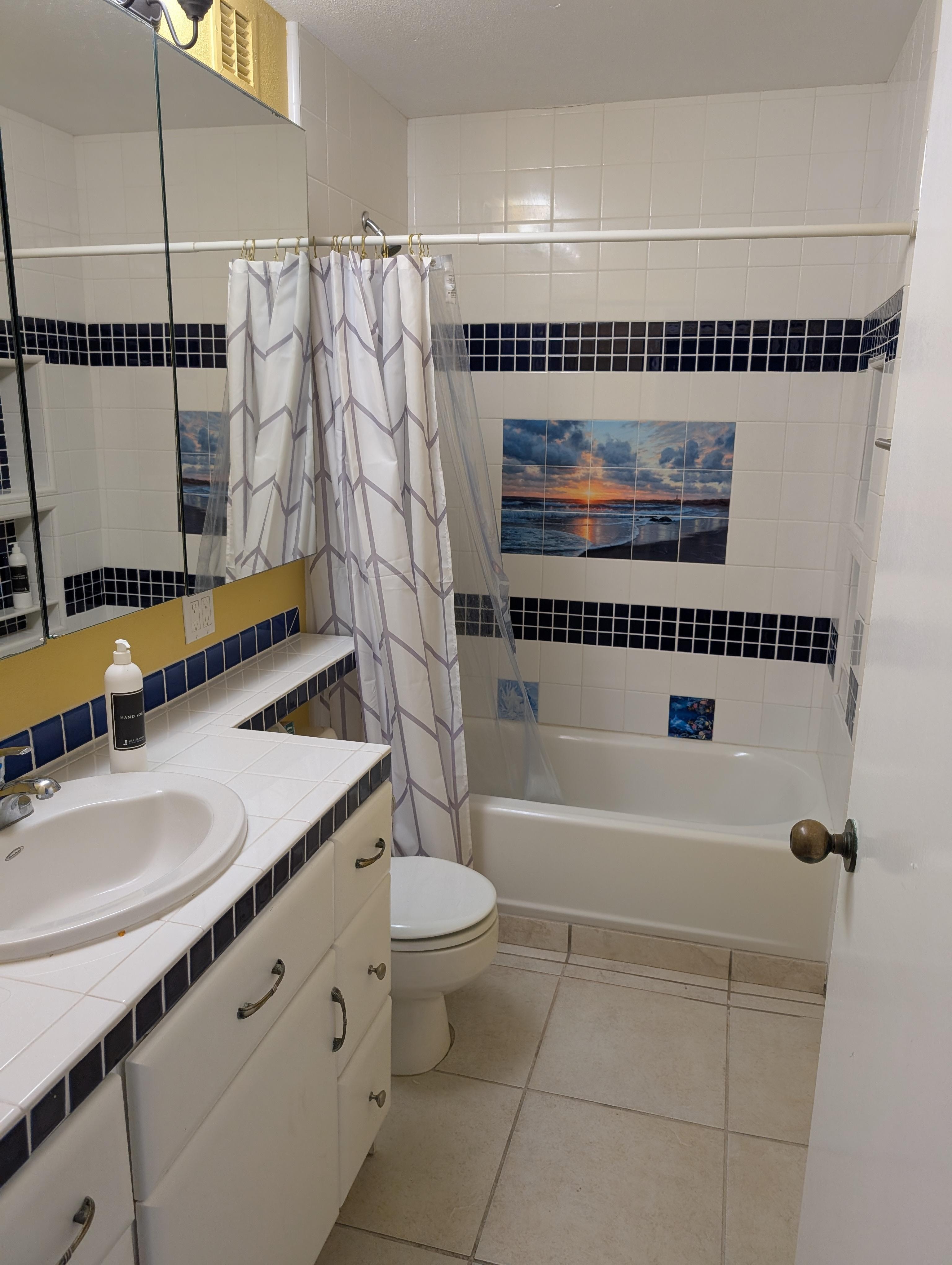 Guest/Hall Bathroom