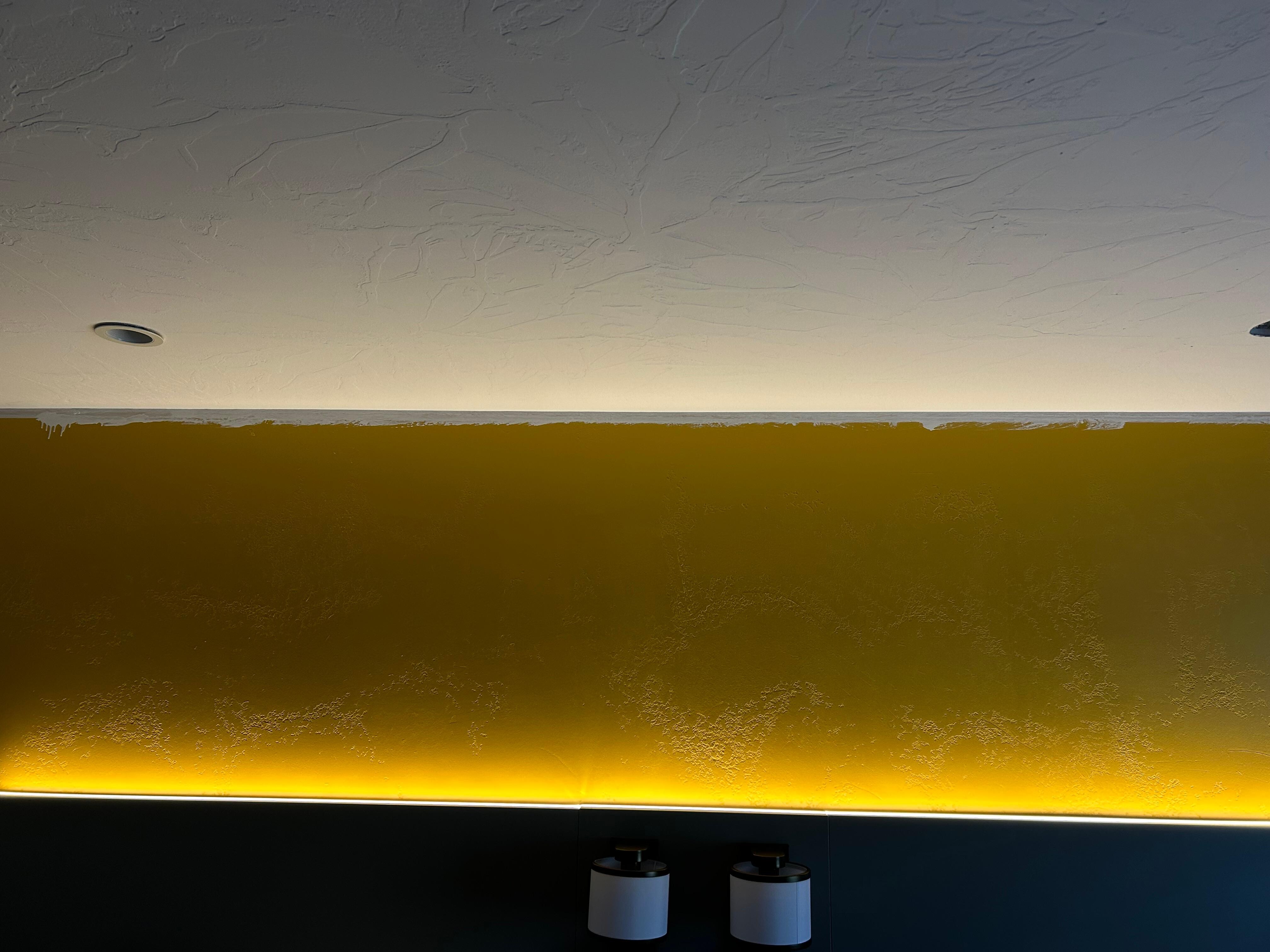 Over painting from ceiling to wall and white paint runs on wall.