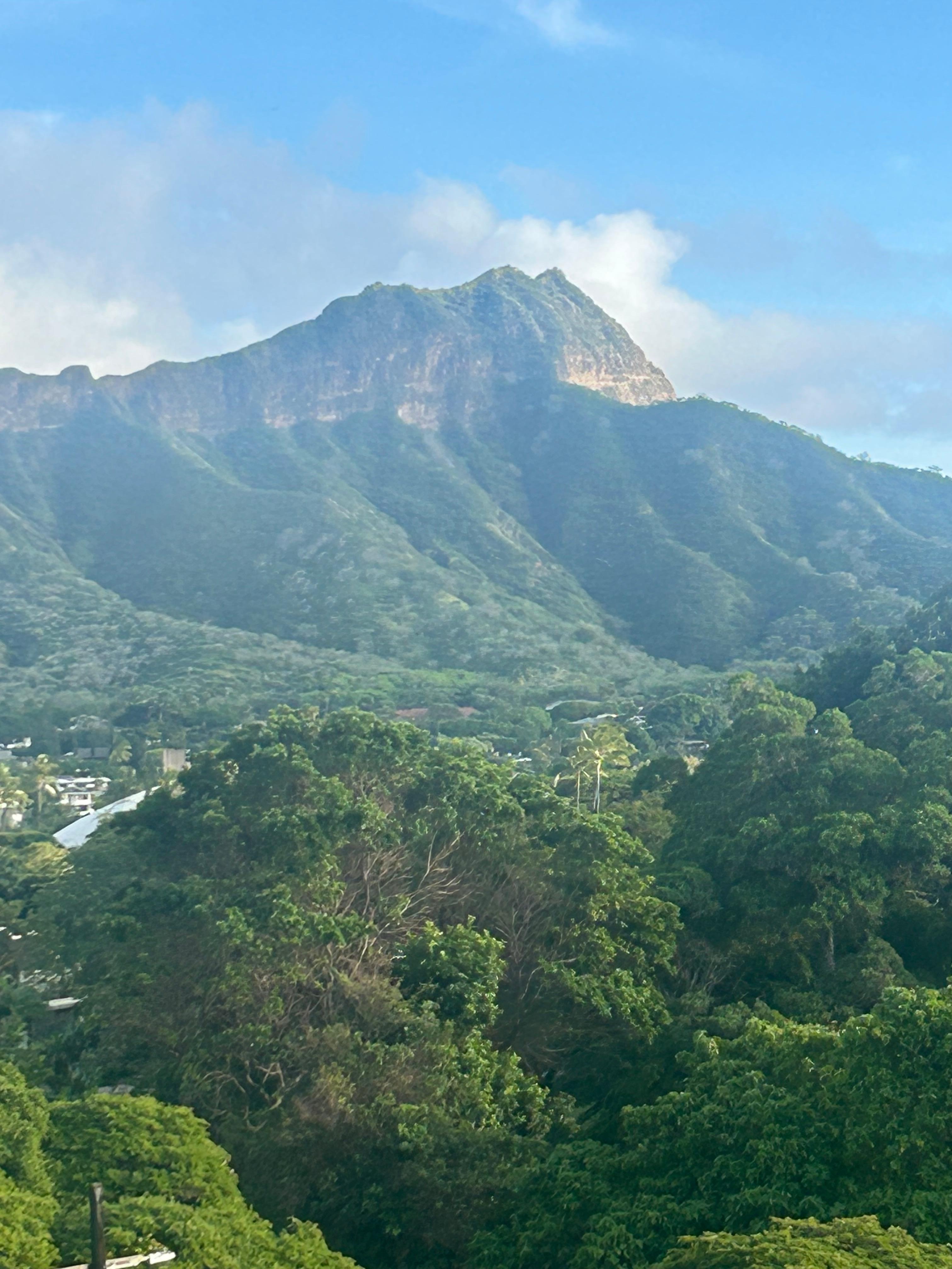 View of Diamond Head