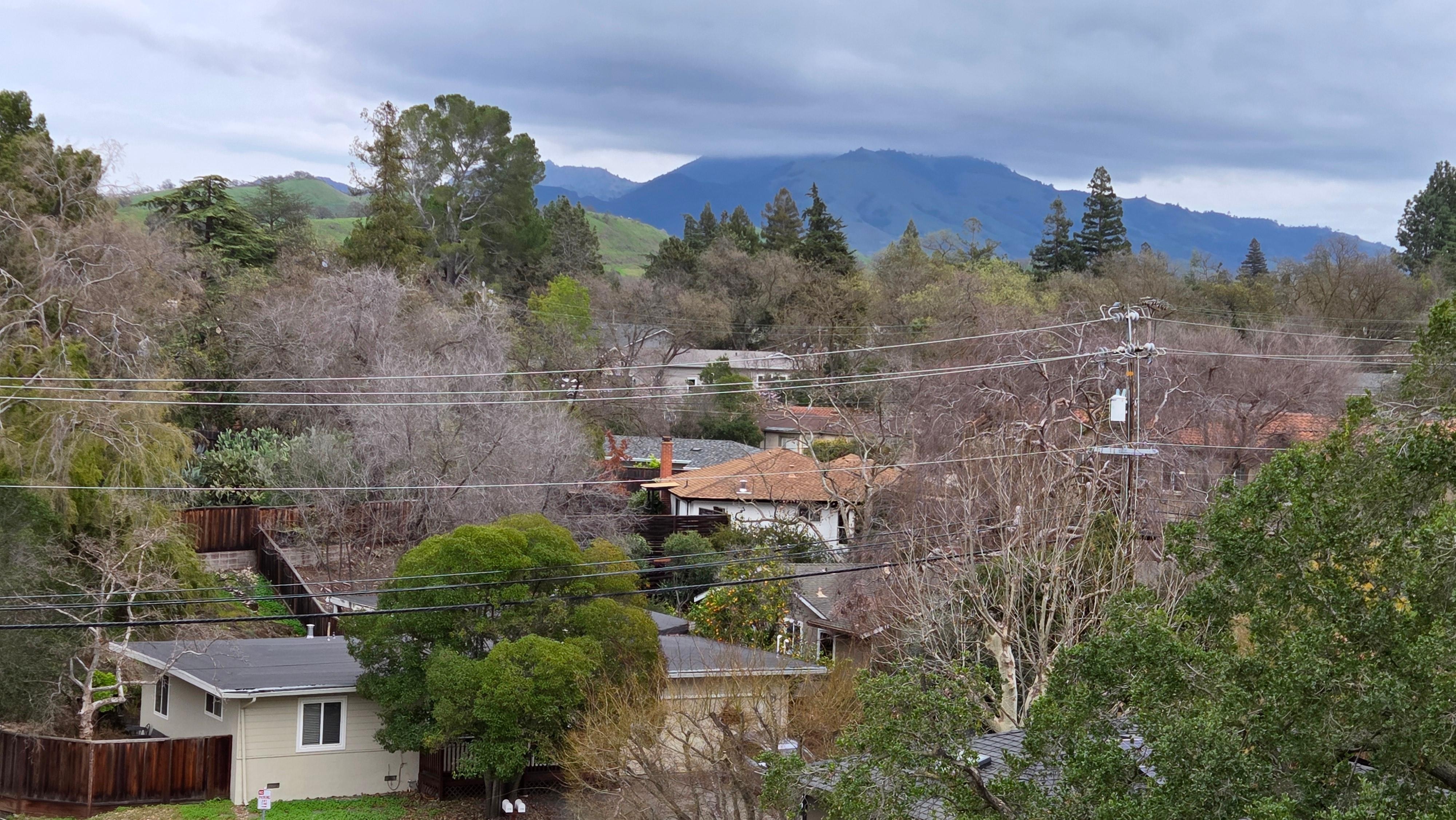 View from back porch