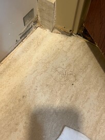 Hair in the opposite bathroom corner