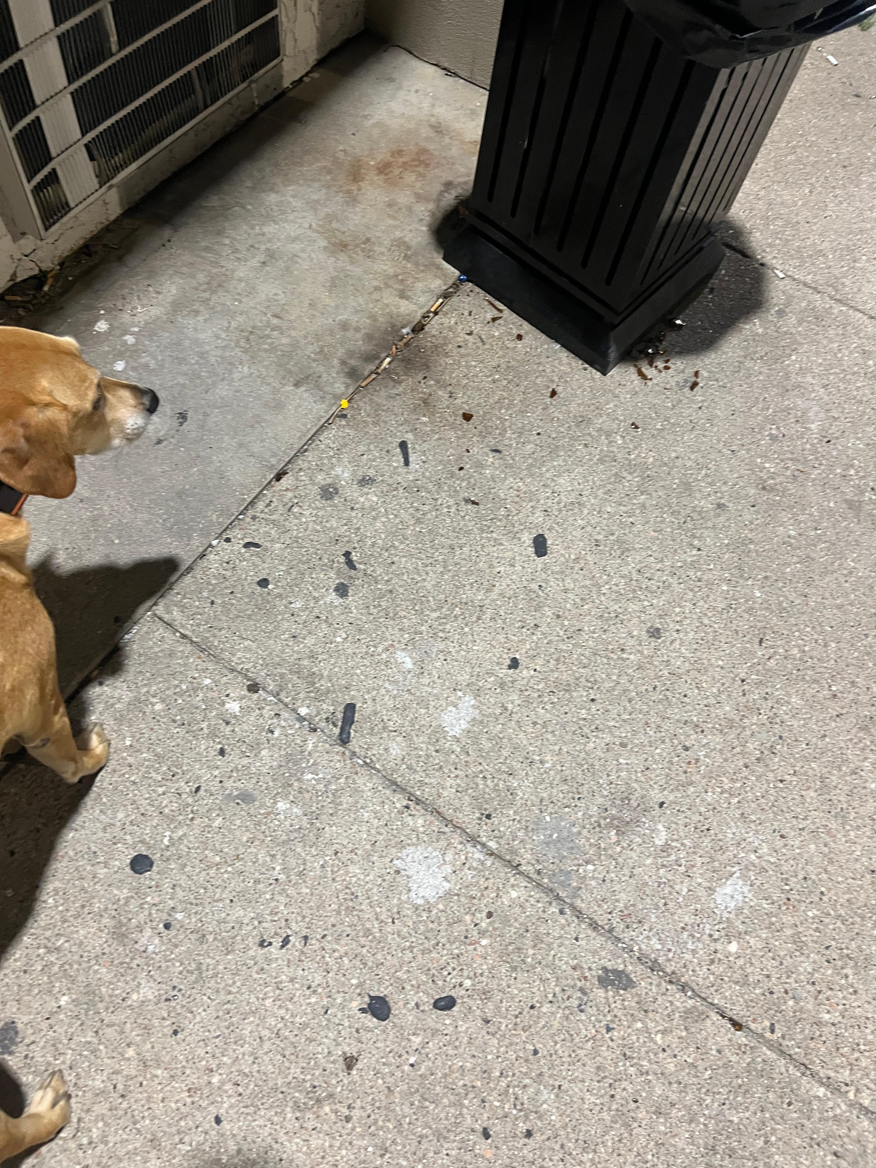 Multiple areas with broken car windows and beer bottles. 