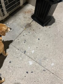 Multiple areas with broken car windows and beer bottles.
