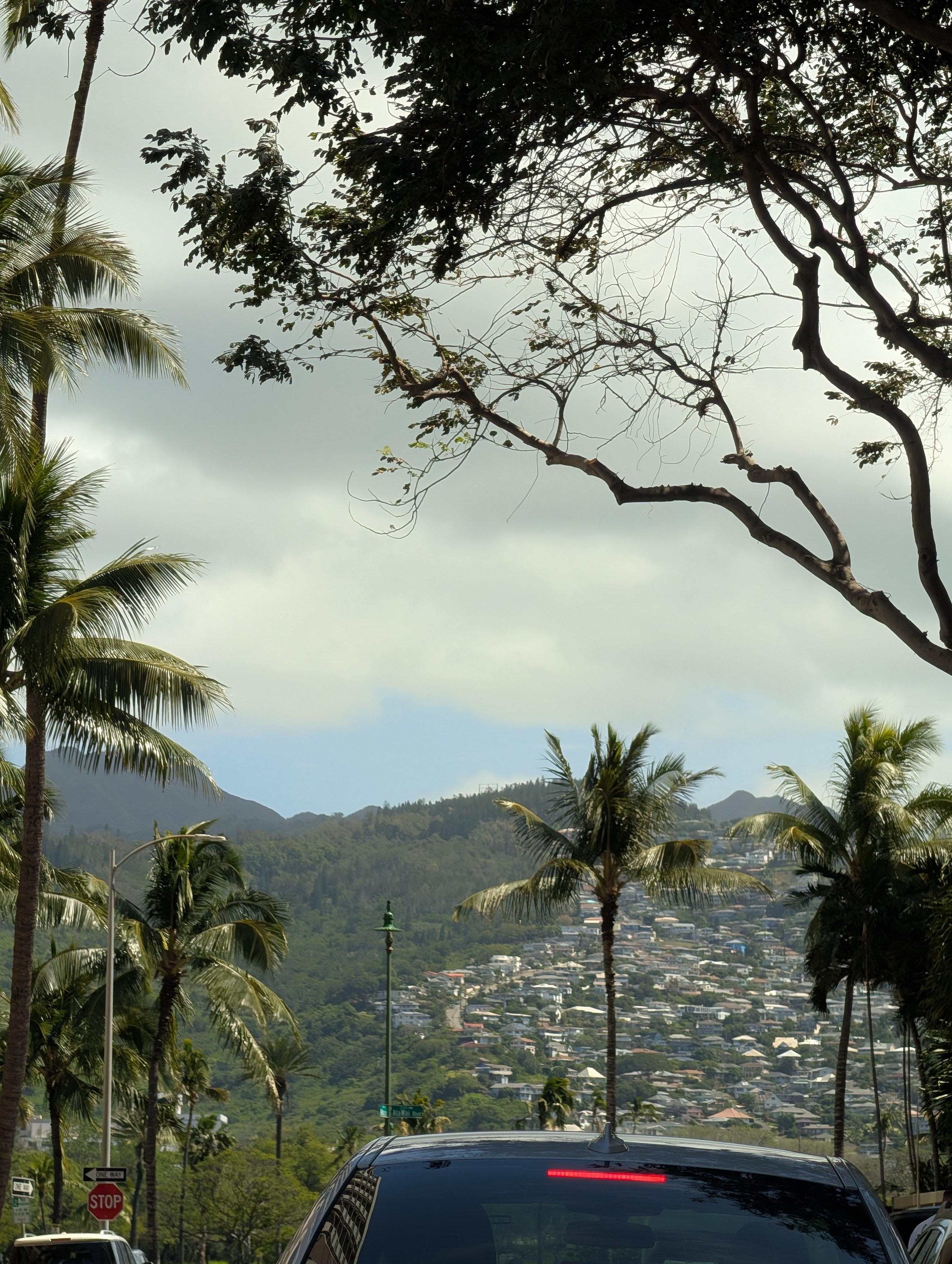 Amazing view down the street